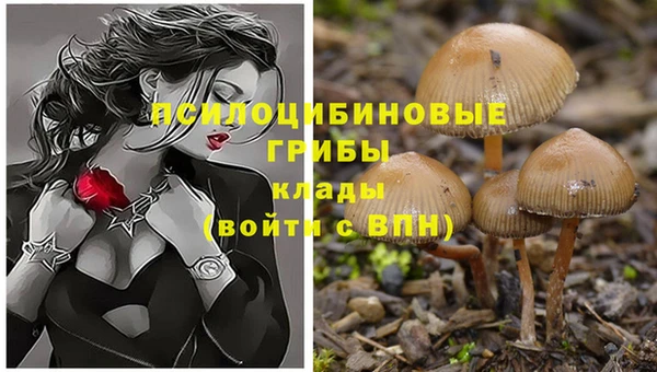 a pvp Волоколамск