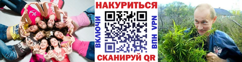 Бошки Шишки индика  Купить где  Морозовск 